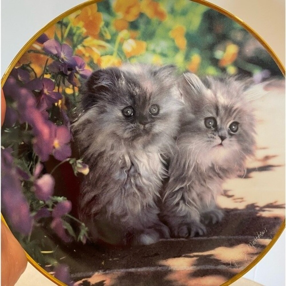 Sitting pretty by Nancy Matthews 8” Collectors Plate #F7545 - Picture 10 of 10